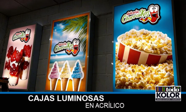 CAJAS LUMINOSAS EN ACRÍLICO E IMPRESIÓN DE VINIL