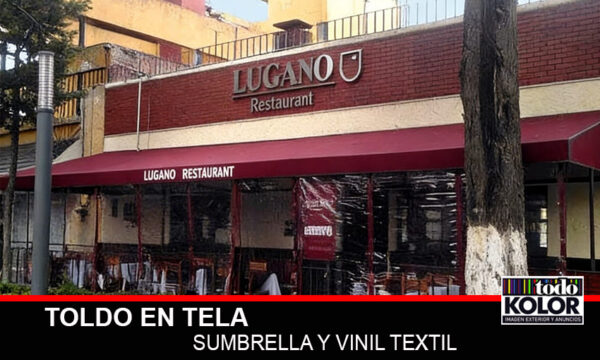 TOLDO EN TELA SUMBRELLA Y VINIL TEXTIL