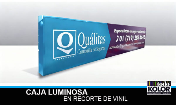 CAJA LUMINOSA EN RECORTE DE VINIL, COMPAÑIA DE SEGUROS